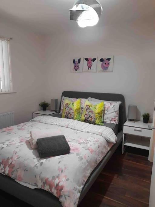 Belfast Apartment Ngoại thất bức ảnh